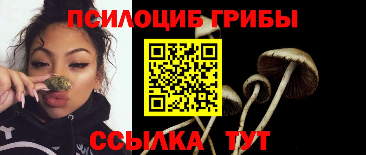что такое   Псилоцибиновые грибы Psilocybe  Петрозаводск  Вход с VPN  Галлюциногенные грибы Cubensis 