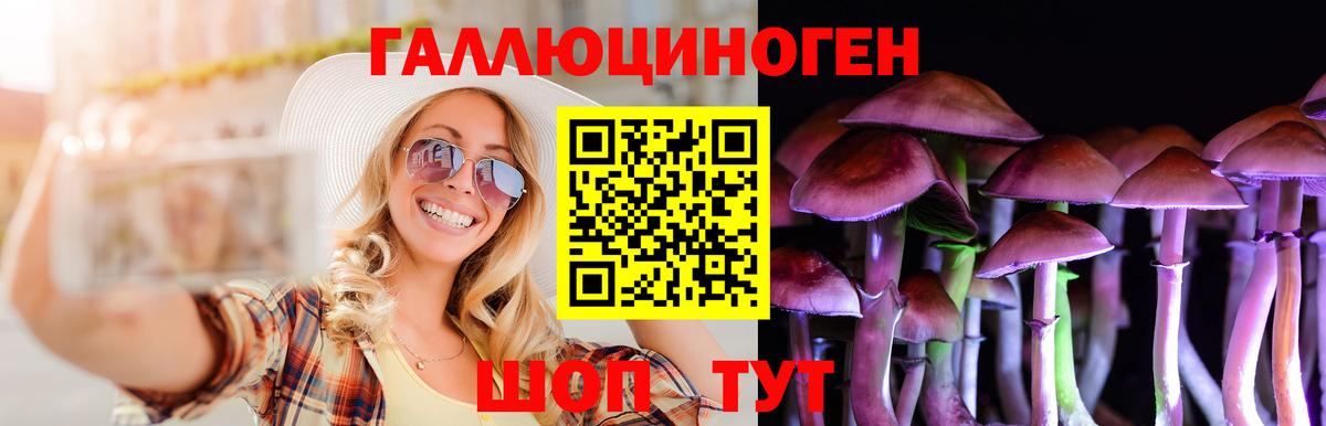 Галлюциногенные грибы мицелий Петрозаводск